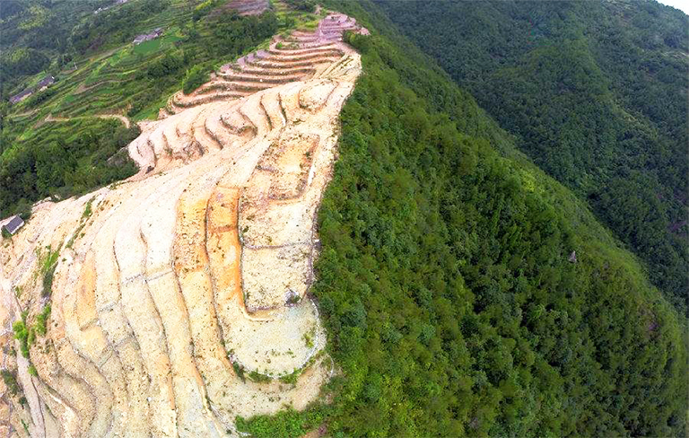什么是森林砍伐？毀林是一個日益嚴(yán)重的全球性問題