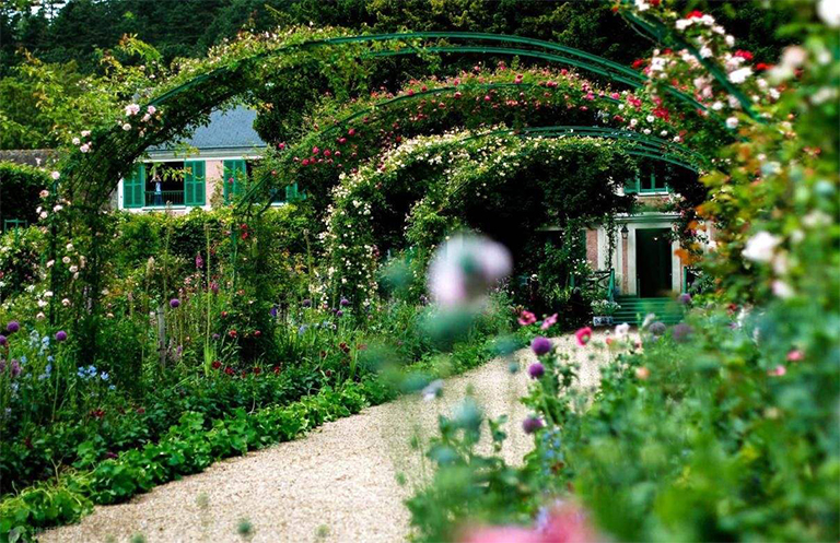 專為蝴蝶和蜜蜂設計的景觀