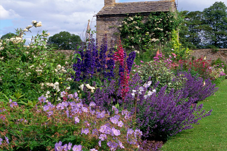 打細算經濟型植物花園創意–擴大空間而又不花錢（三）