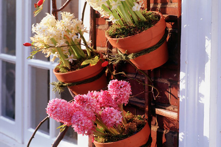 北京廠家關(guān)于植物花園柵欄／圍欄的設(shè)計(jì)構(gòu)想（中）