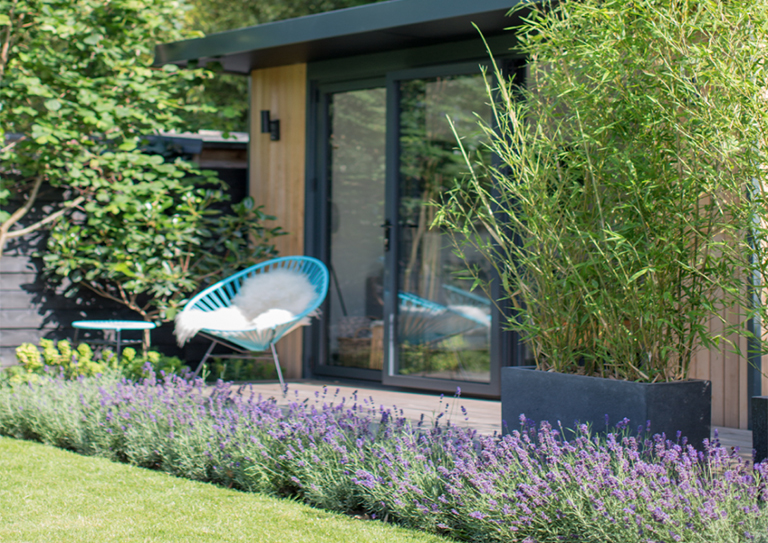 如何打造一個對野生動物友好的植物花園？