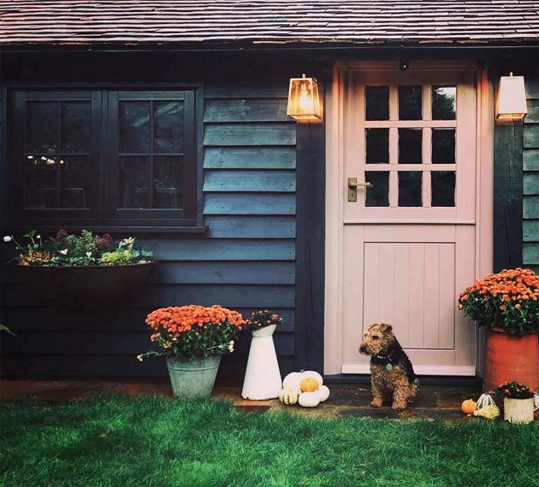 看看令人驚嘆的植物花園工作室改造前后對(duì)比圖（下）