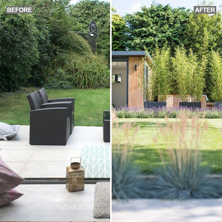 了解如何合理減少綠化以創建實用的植物花園