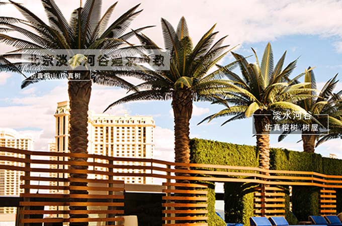 仿真海棗樹.jpg 仿真海棗樹