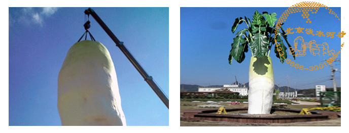 水泥雕塑仿真大蘿卜.jpg 水泥雕塑仿真大蘿卜