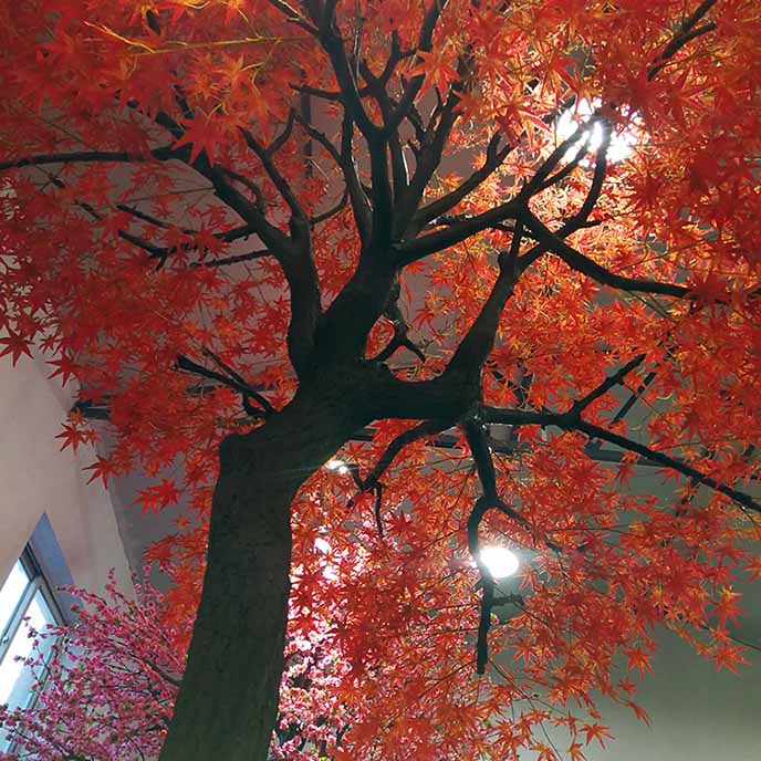 仿真紅楓樹.jpg 仿真紅楓樹