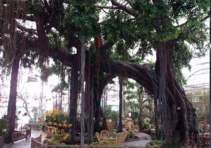 仿真榕樹.jpg 仿真榕樹