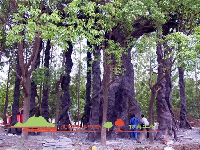 假樹價格.jpg 假樹價格