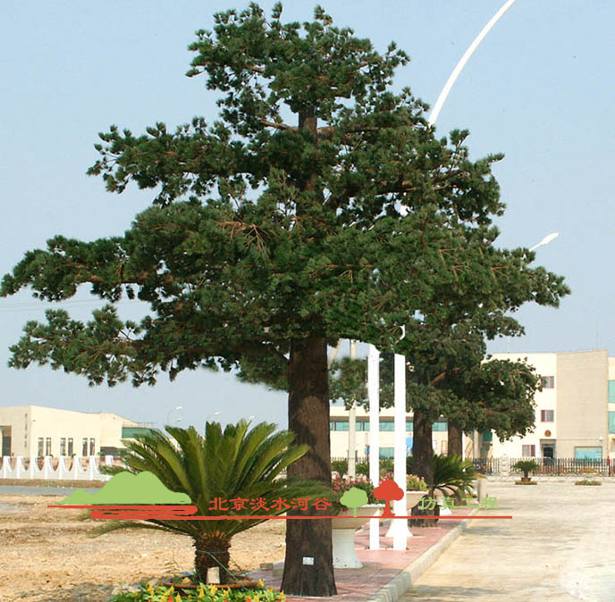 假樹價格.jpg 假樹價格