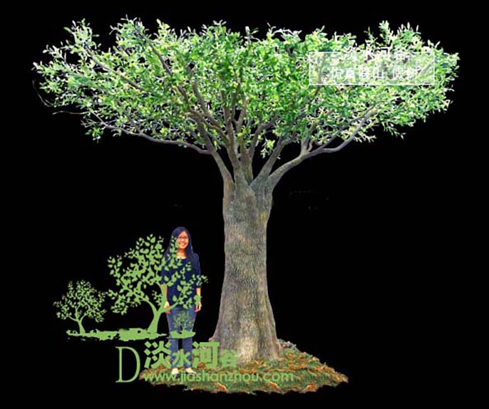 仿真榆樹.jpg 仿真榆樹