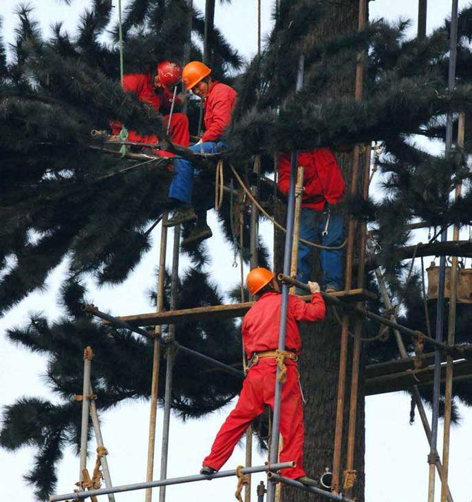 仿生通信樹.jpeg 仿生通信樹