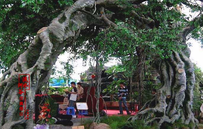 仿真樹榕樹.jpg 仿真樹榕樹