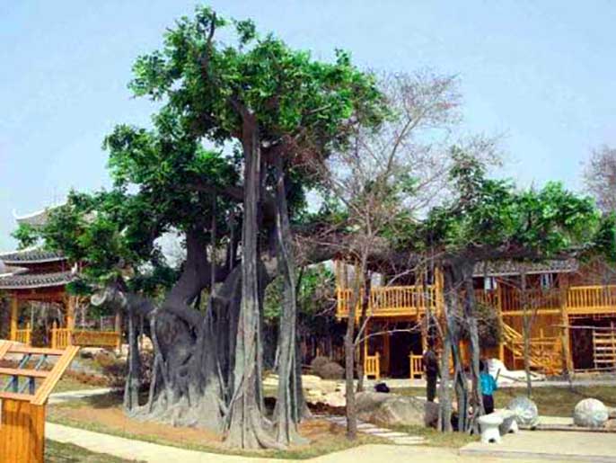 大型仿真樹.jpg 大型仿真樹