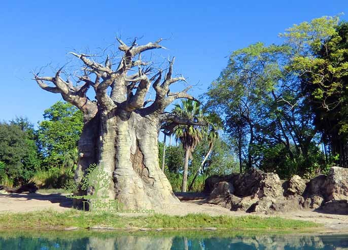 仿真樹.jpg 仿真樹