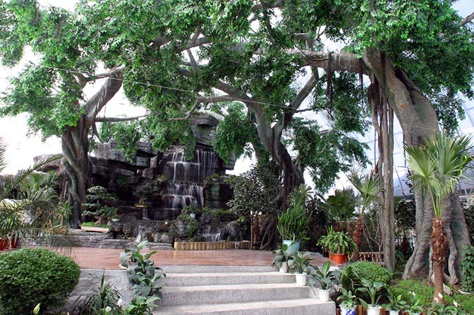 水泥假山假樹.jpg 水泥假山假樹