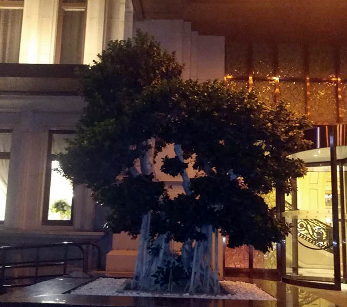 仿真榕樹.jpg 仿真榕樹