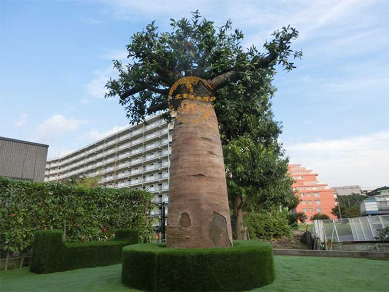 仿真面包樹.jpg 仿真面包樹