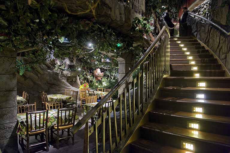 1583048839926969.jpg Stairs-to-Forest-Floor.jpg