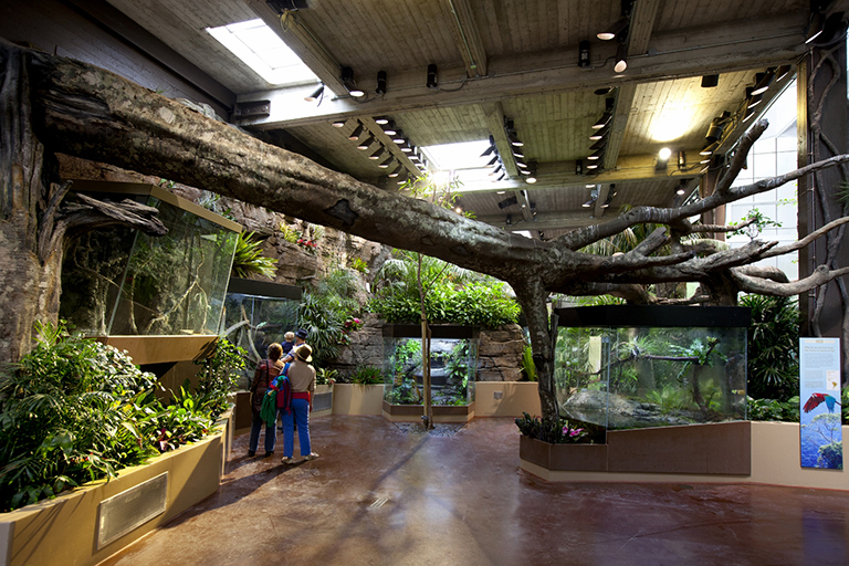 室內仿真假樹.jpg 室內仿真假樹