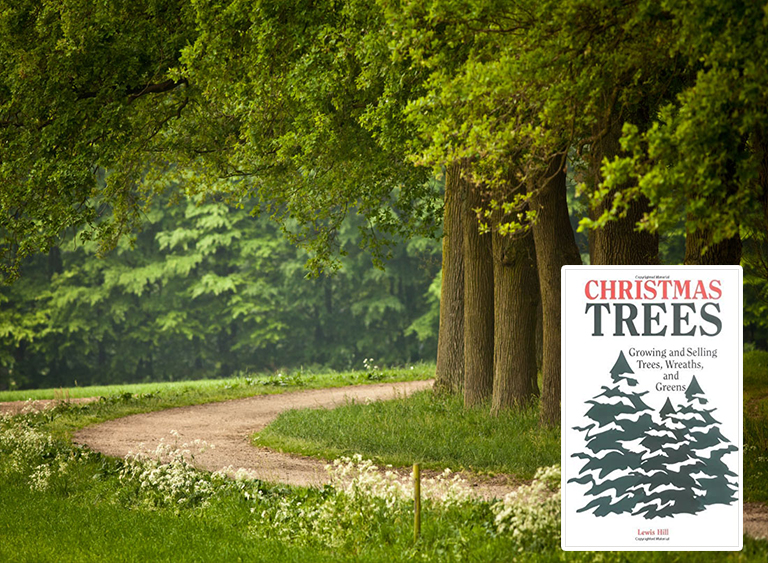 仿真樹.jpg 仿真樹