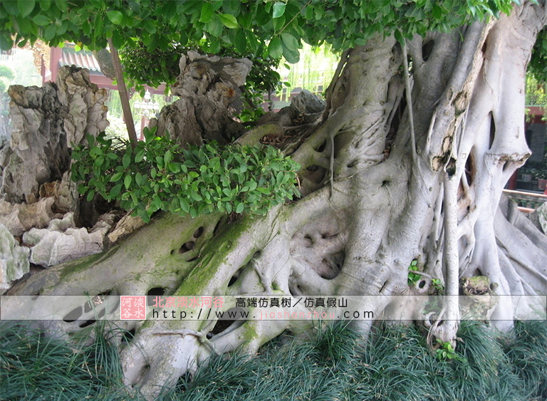 仿真樹.jpg 仿真樹