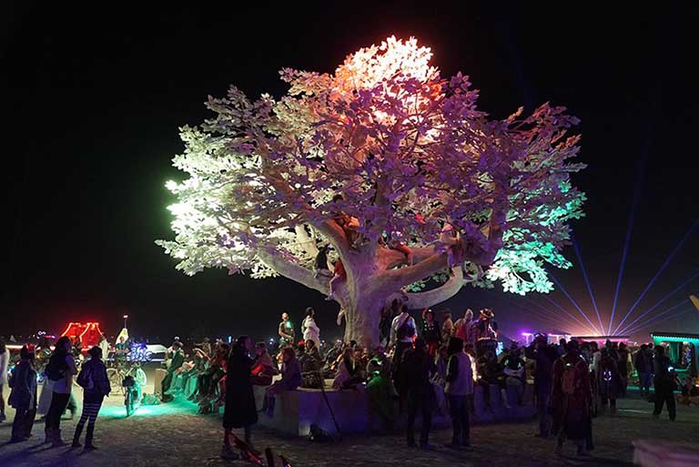 人工樹(shù).jpg 人工樹(shù)