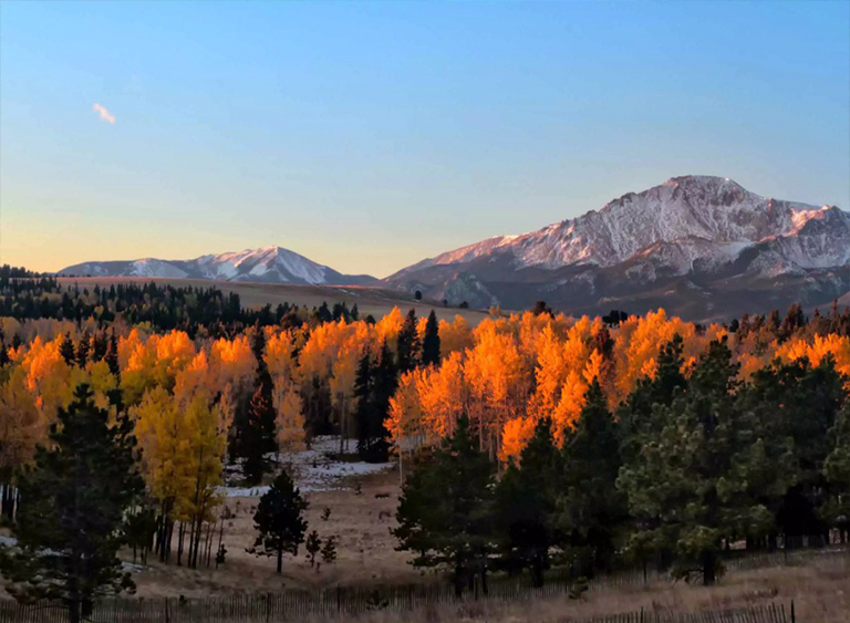派克國家森林公園在科羅拉多.jpg 派克國家森林公園在科羅拉多