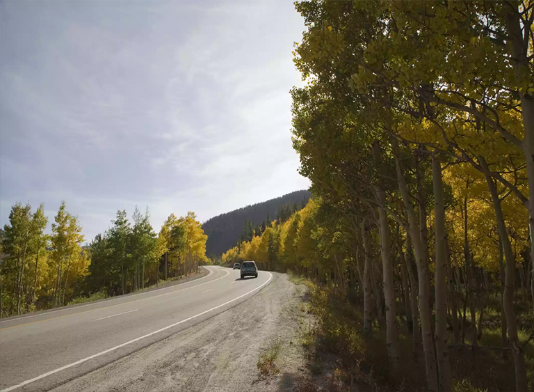 仿真樹.jpg 仿真樹