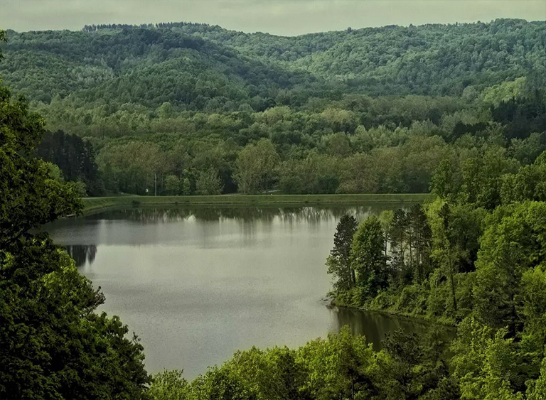 俄亥俄州的韋恩國家森林.jpg 俄亥俄州的韋恩國家森林