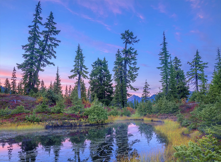 華盛頓的貝克山-斯諾夸爾米山國(guó)家森林.jpg 華盛頓的貝克山-斯諾夸爾米山國(guó)家森林