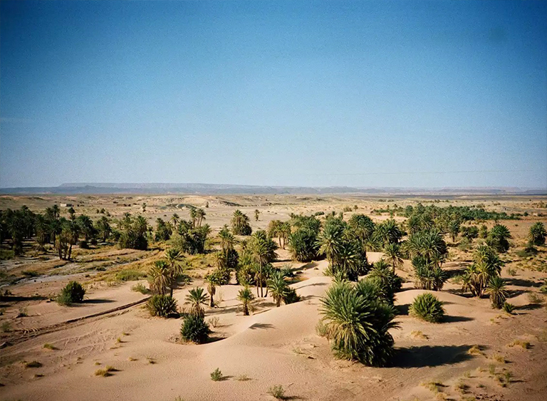 炎熱的沙漠.jpg 炎熱的沙漠