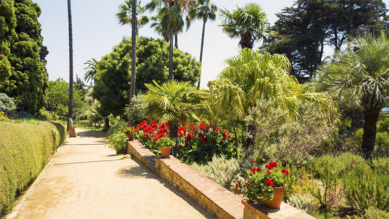 樹(shù)木.jpg 樹(shù)木