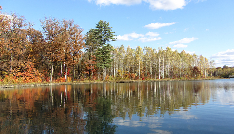 森林蒸騰與水循環