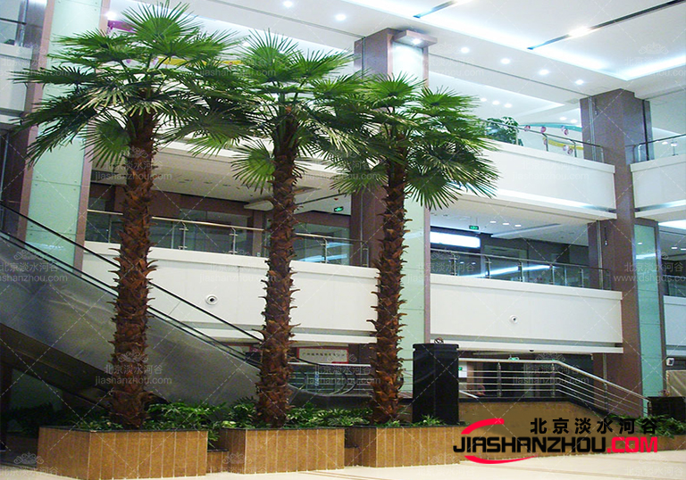 仿真樹.jpg 仿真樹