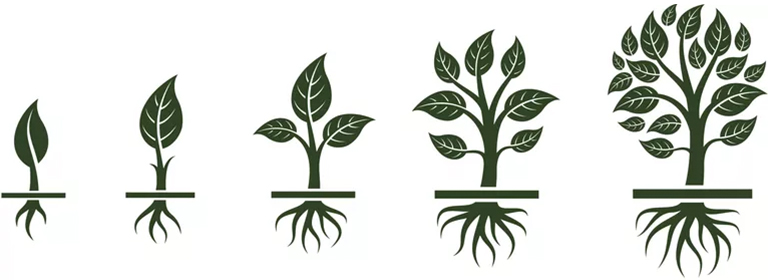 樹形結構.jpg 樹形結構