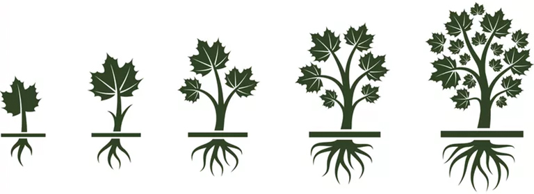 樹形結構.jpg 樹形結構