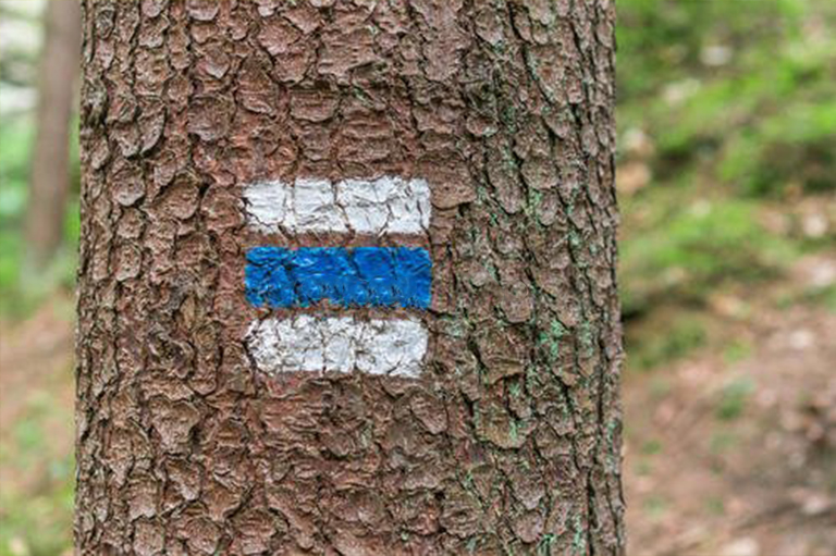 樹木標(biāo)志.jpg 樹木標(biāo)志