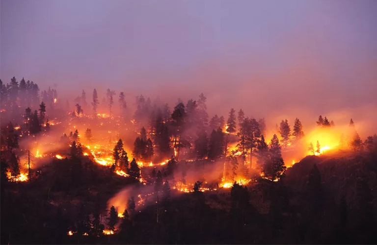 美國野火狀況報告和地圖.jpg 美國野火狀況報告和地圖