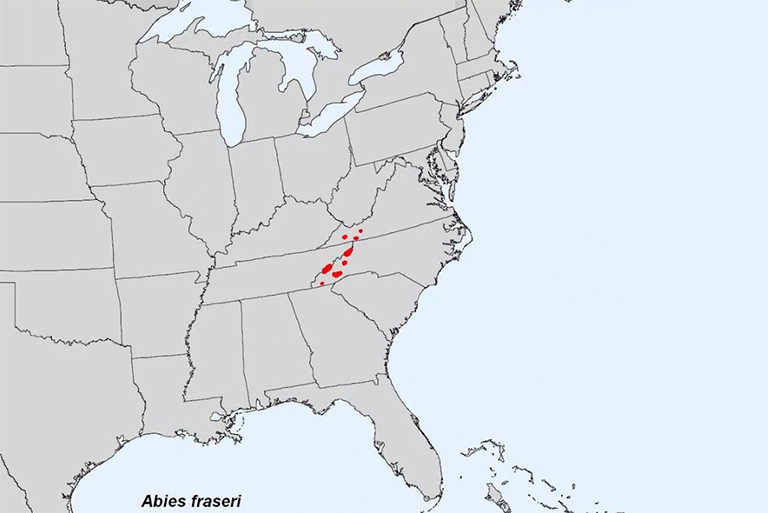 弗雷澤冷杉的范圍.jpg 弗雷澤冷杉的范圍