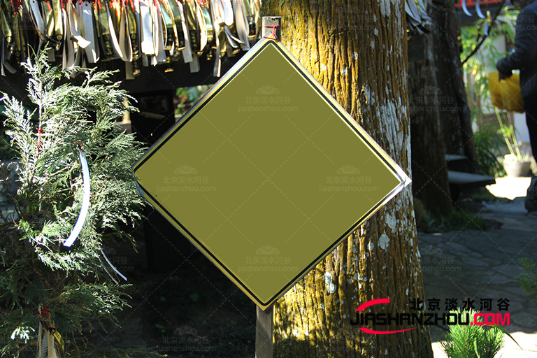 仿真樹.jpg 仿真樹