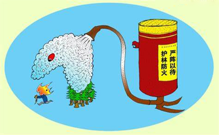 預(yù)測森林火災(zāi).jpg 預(yù)測森林火災(zāi)