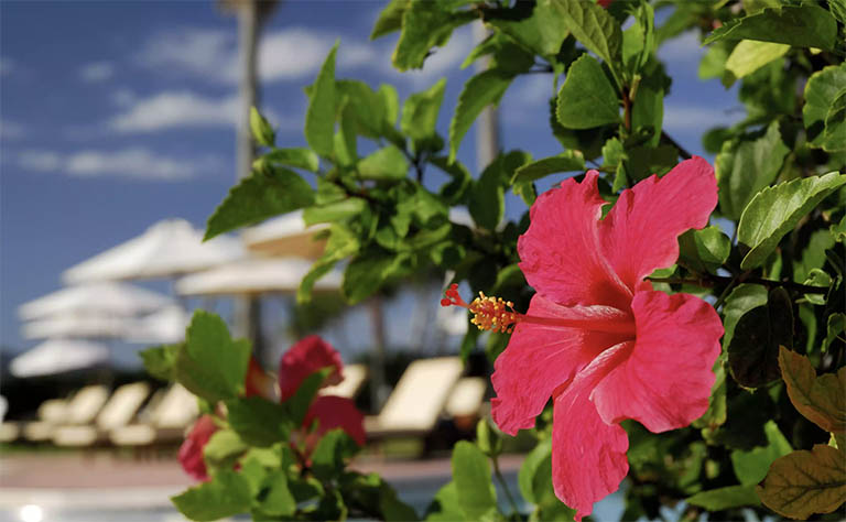 千層石景觀.jpg 千層石景觀