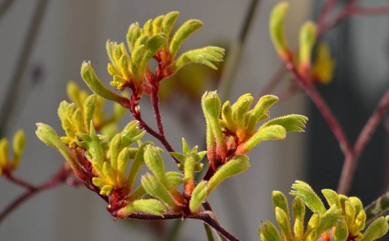 千層石景觀.jpeg 千層石景觀