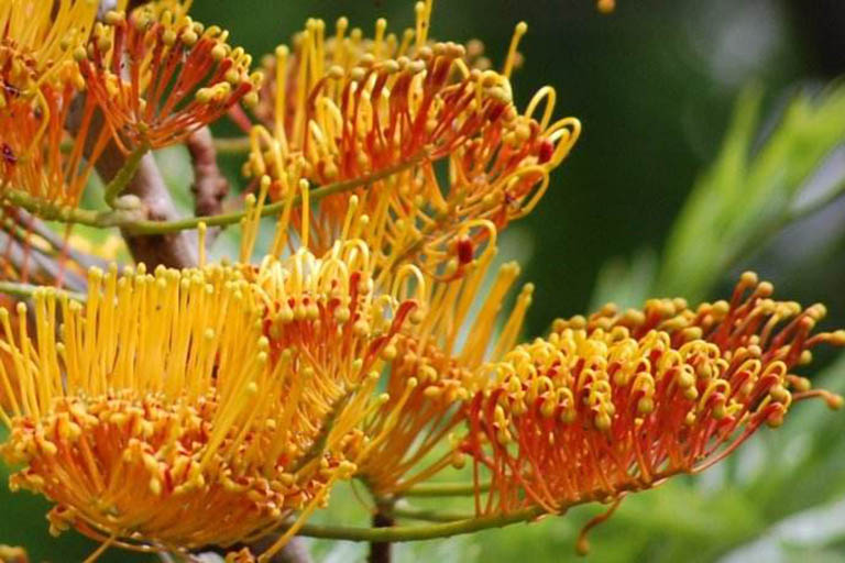 千層石景觀.jpeg 千層石景觀