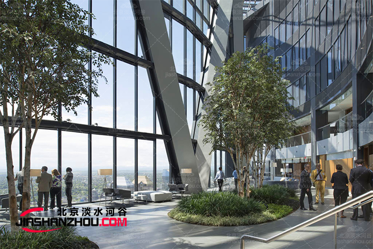 仿真樹.jpg 仿真樹