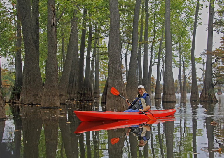女人在水圖珀洛樹木之間劃皮艇.jpg 女人在水圖珀洛樹木之間劃皮艇