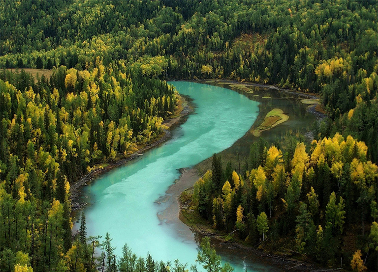 陸地生物群落塔加斯.jpg 陸地生物群落塔加斯