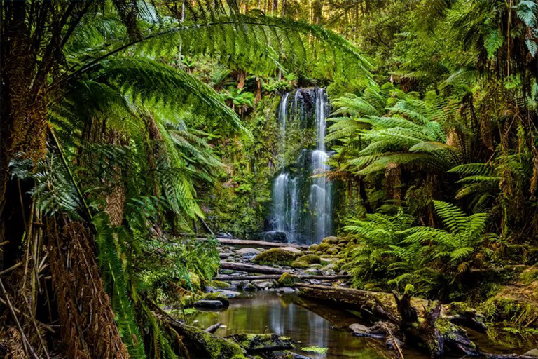 生物群落.jpg 生物群落