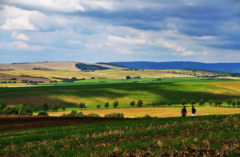 生物群落.jpg 生物群落