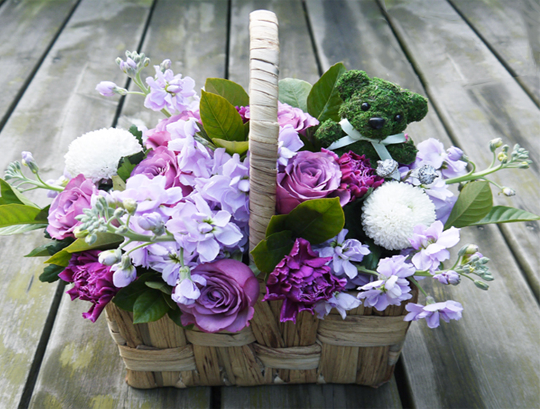 紫羅蘭.jpg 紫羅蘭